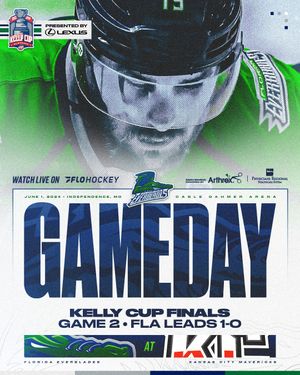 Image post by @fl_everblades on Instagram