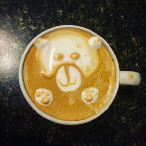 Image post by @calebnatale on Instagram