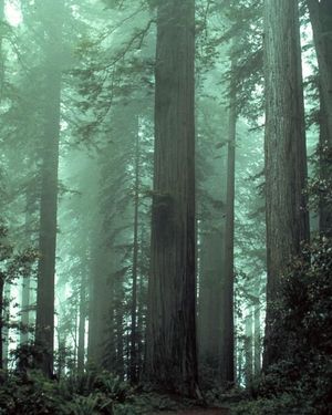 Image post by @nationalparkservice on Instagram