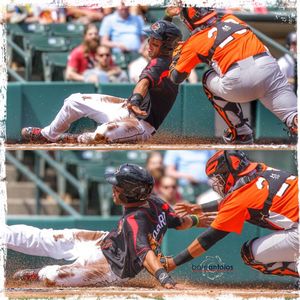 Image post by @rocredwings on Instagram