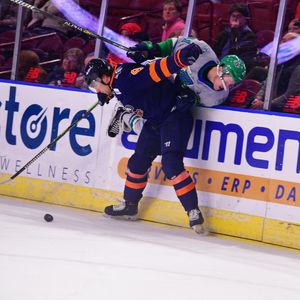 Image post by @swamprabbits on Instagram