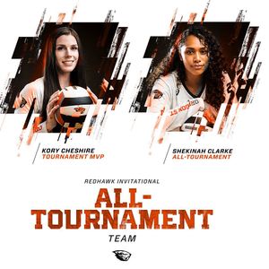 Image post by @beavervball on Instagram