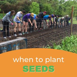 Image post by @kidsgardening on Instagram
