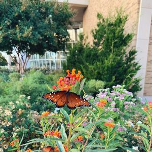 Image post by @acuedu on Instagram