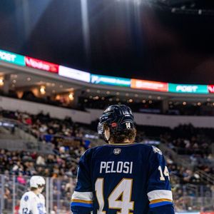 Image post by @sfstampede on Instagram