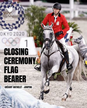 Image post by @teambelgium on Twitter/X