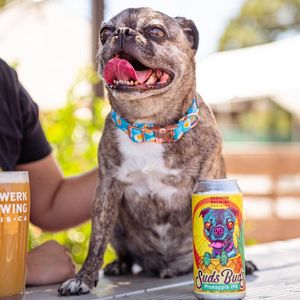 Image post by @sudwerkbrew on Instagram