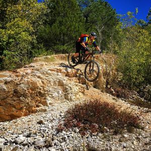 Image post by @bikerumor on Instagram