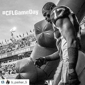 Image post by @mtlalouettes on Instagram