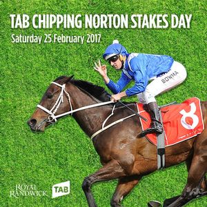 Image post by @australianturfclub on Instagram