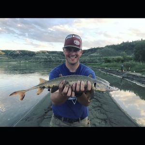 Image post by @agr_msu_ on Instagram