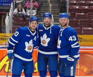 Image post by @torontomarlies on Instagram