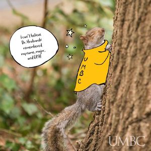 Image post by @umbclife on Instagram