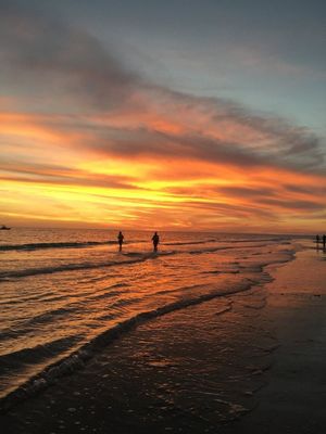 Image post by @visitsarasotacounty on Instagram