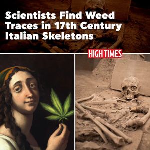 Image post by @hightimesmagazine on Instagram