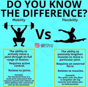 Image post by @circuitsehat on Instagram