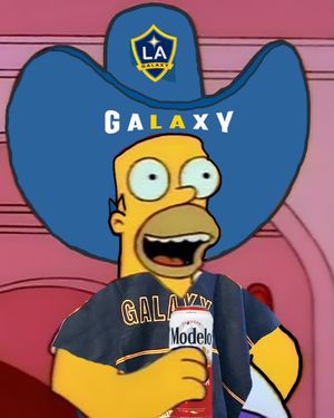 Image post by @totallagalaxy on Instagram