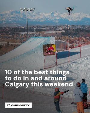 Image post by @curiocitycalgary on Instagram