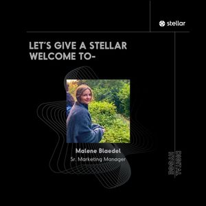 Image post by @stellaragency on Instagram