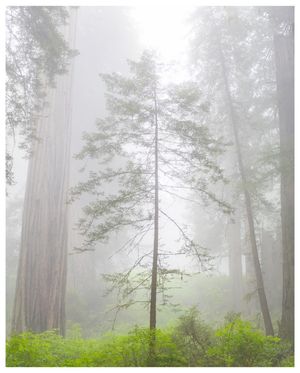 Image post by @nationalparkspartnership on Instagram