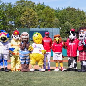 Image post by @blueclaws1 on Instagram