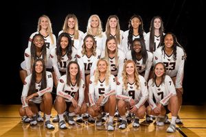 Image post by @beavervball on Instagram