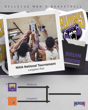 Image post by @bubruins on Instagram