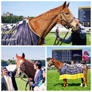 Image post by @australianturfclub on Instagram