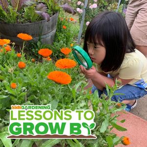 Image post by @kidsgardening on Instagram
