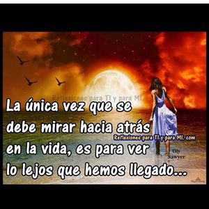 Image post by @elchino242 on Instagram