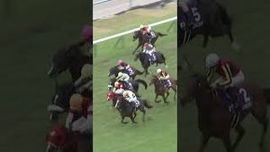 Video post by @worldhorseracing on YouTube