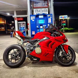Image post by @panigalers on Instagram