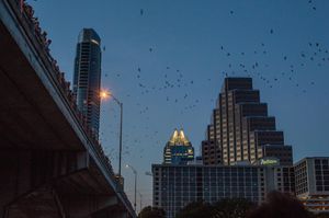 Image post by @txdot on Instagram