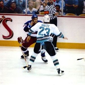 Image post by @hockeyfights on Instagram