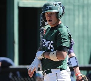 Image post by @stevensonbsb on Instagram
