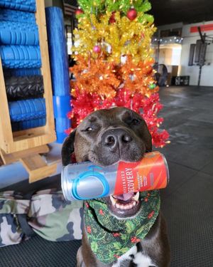 Image post by @o2hydration on Instagram