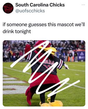 Image post by @southcarolinachicks on Instagram