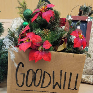 Image post by @goodwill_inw on Instagram