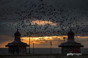 Image post by @gettyimages on Instagram