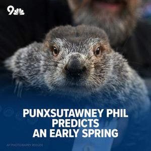 Image post by @9newsdenver on Instagram
