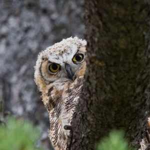 Image post by @nationalparkservice on Instagram