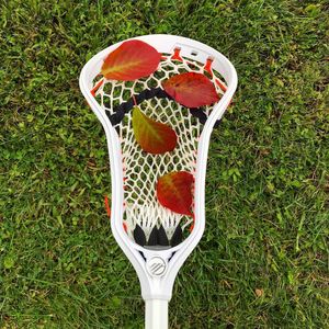 Image post by @maveriklacrosse on Instagram