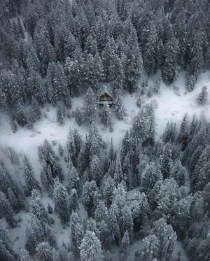 Image post by @aaron.k.baker on Instagram
