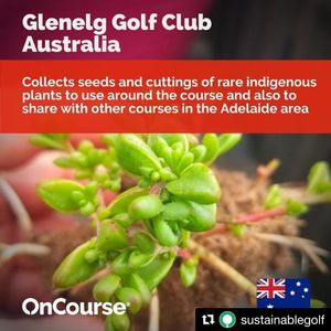 Image post by @glenelggolf on Instagram