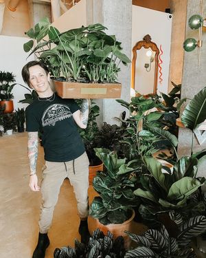 Image post by @thegreenhousejax on Instagram