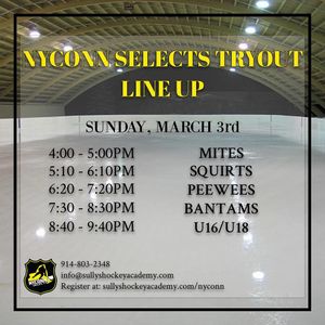 Image post by @sullyshockeyacademy on Instagram