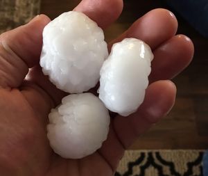 Image post by @fox31denver on Instagram
