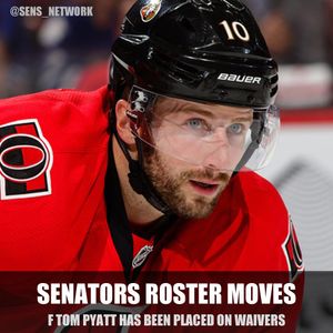 Image post by @sens_network on Instagram