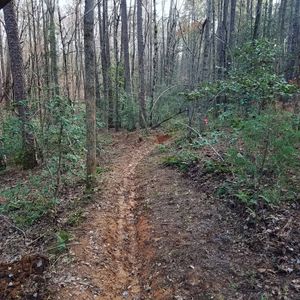 Image post by @blackdiamond_traildesigns on Instagram