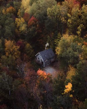 Image post by @thecabinchronicles on Instagram